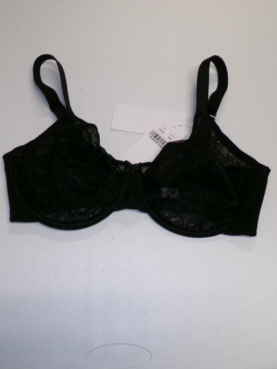 Hsia Other - NWT HSIA Sheer Black Lace Underwire Full Figure Bra sz 36DD 36 DD